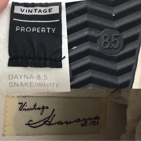 Vintage Havana Dayne Snake/ White Suede Leather High Top Sneakers size 8.5 - Picture 16 of 16